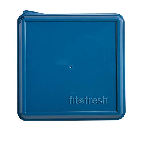 FIT & FRESH LUNCH BOX,BENTO