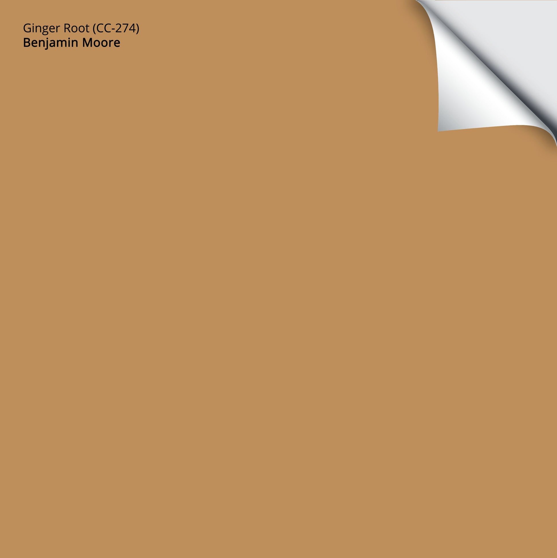 CLR CVRG CC CRM GINGER