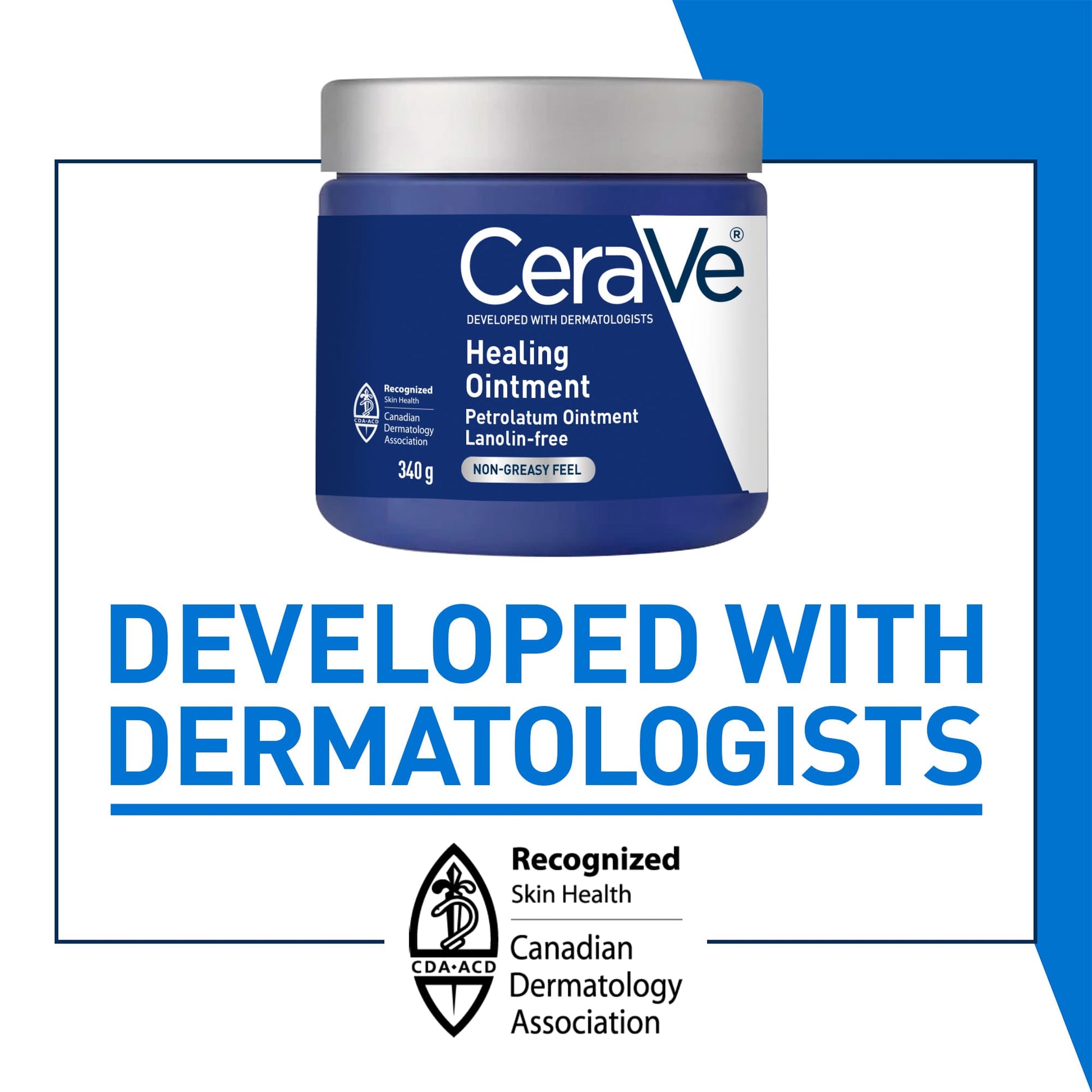 CERAVE HEALING OINTMENT 12OZ