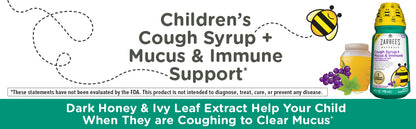 ZARBEES CHILD COUGH + IMMUNE DAY SYR 4OZ