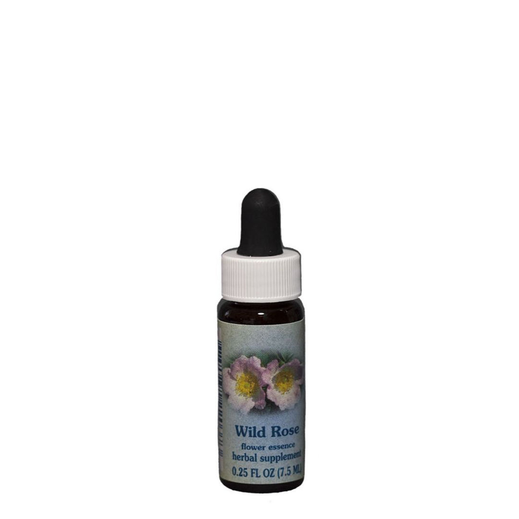 BACH WILD ROSE