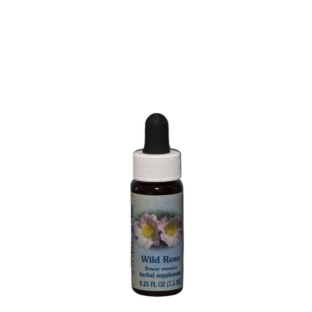 BACH WILD ROSE