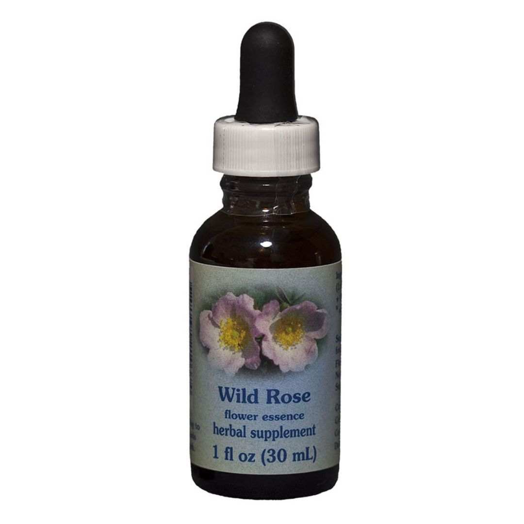 BACH WILD ROSE