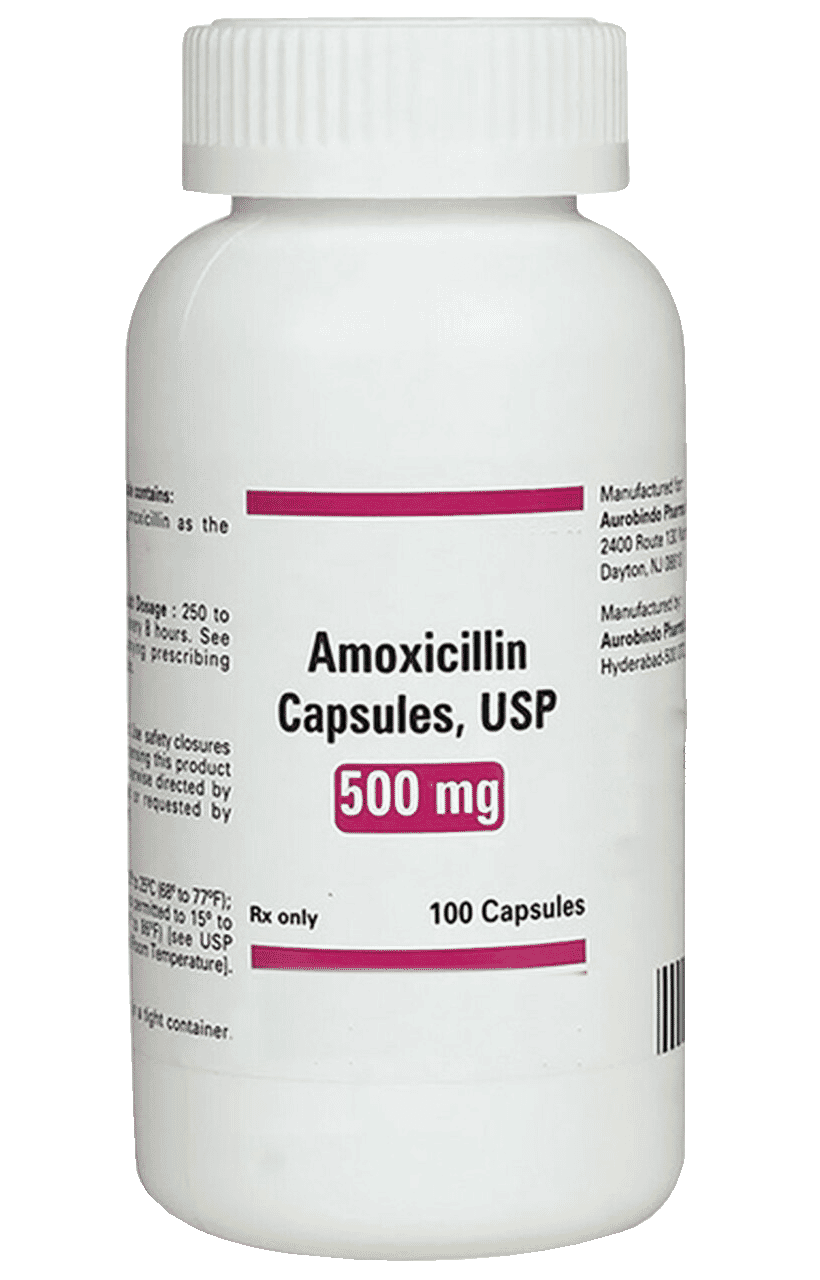 AMOXICILLIN CP 250MG 100