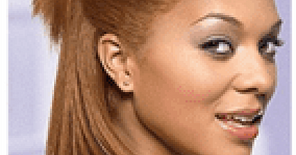 Dark & Lovely Color #378 Honey Blonde