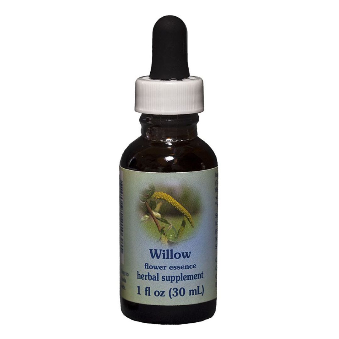 BACH WILLOW