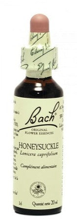 BACH HONEYSUCKLE