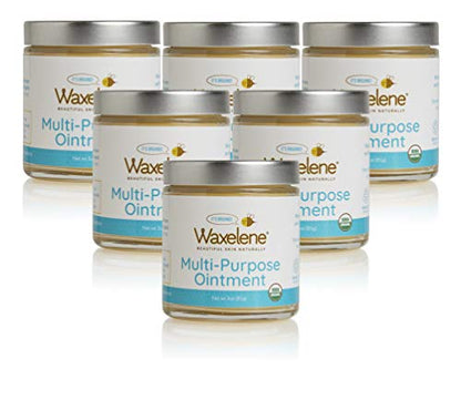 WAXELENE OINTMENT TRAVEL JAR 3Z
