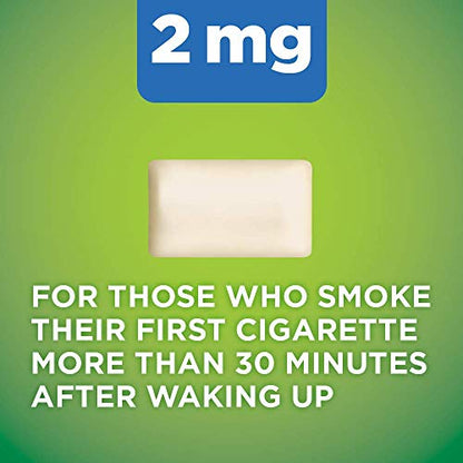 GNP NICOTINE 4 MG UNCOATED MINT GUM 50CT