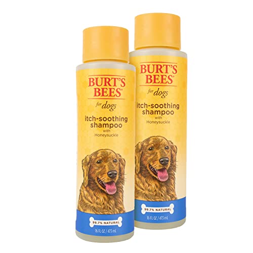 BURTS BEES DOG ITCH SOOTH HNYSK SHM 16OZ