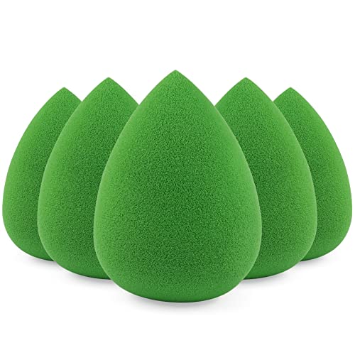 CAREone Foundation Blending Sponge