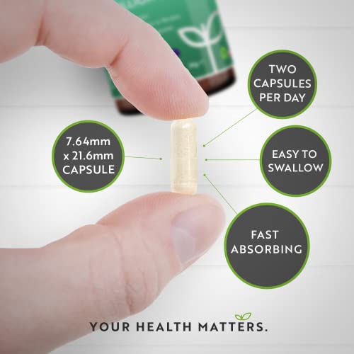 PROBIOTIC W/LACTOSPORE CP 40