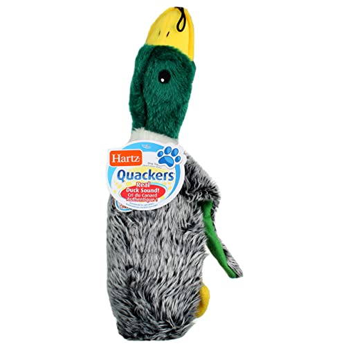 HARTZ DOG TOY FLEX FOAM