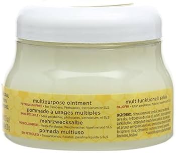 BURTS BEES OI 24X2GM C/SOR