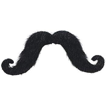 FAKE MOUSTACHES