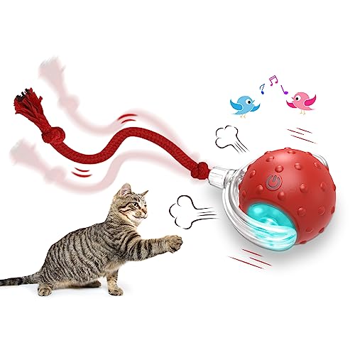 BIZZY BALL CAT TOY