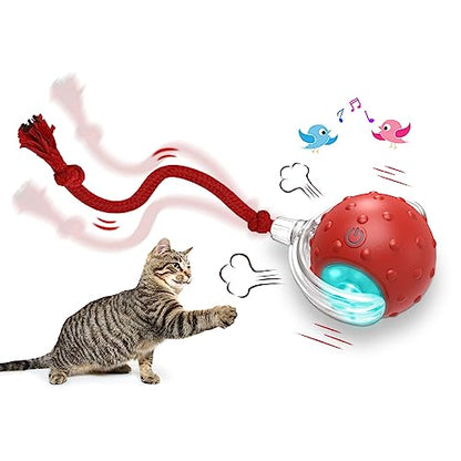 BIZZY BALL CAT TOY