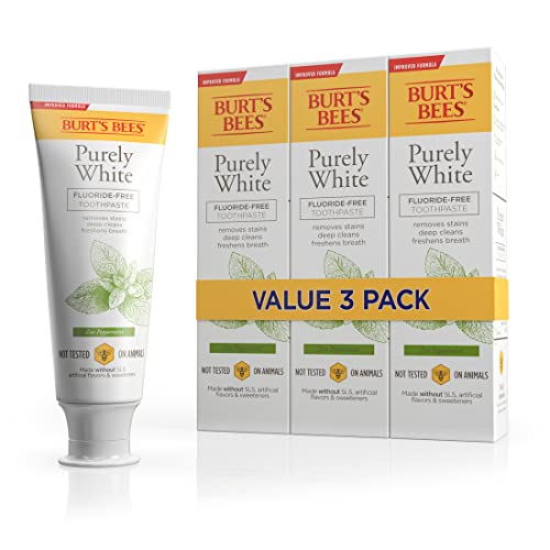 BURT'S BEES PURLY WHT ZEN PPRM T/P 4.7OZ