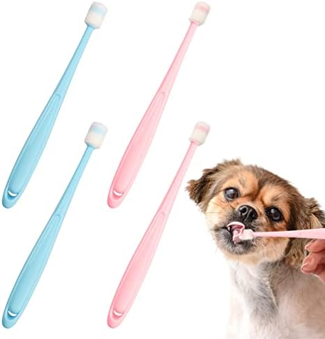 RADIUS DNTL SL,OG2,PET KIT,ADULT