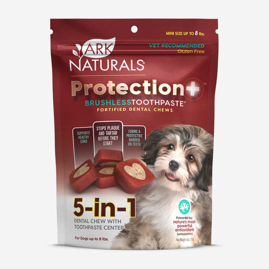 ARK NATURALS TOOTHPASTE,BRUSHLESS,MINI