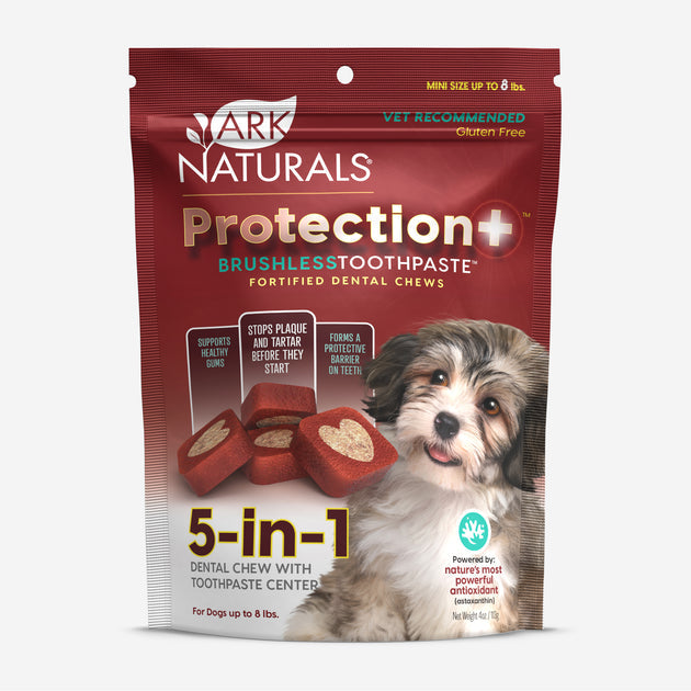 ARK NATURALS TPSTE,MINI,BRUSHLESS+PROT