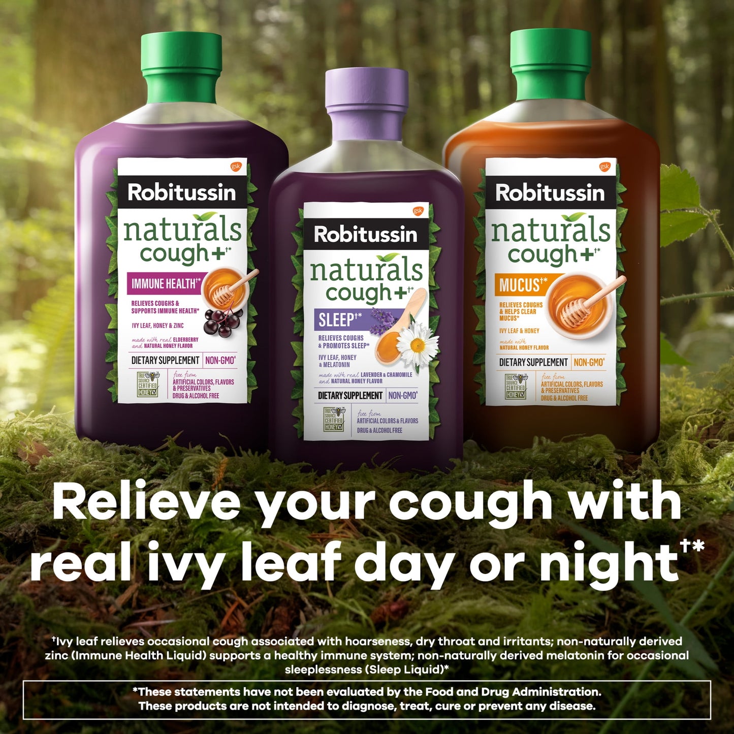 ROBITUSSIN NATURALS CGH/IMMUNE SYR 8.3OZ