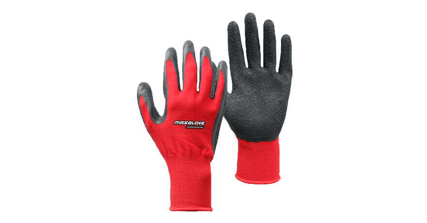 GLOVE LATEX P/F XL TX GLV 100