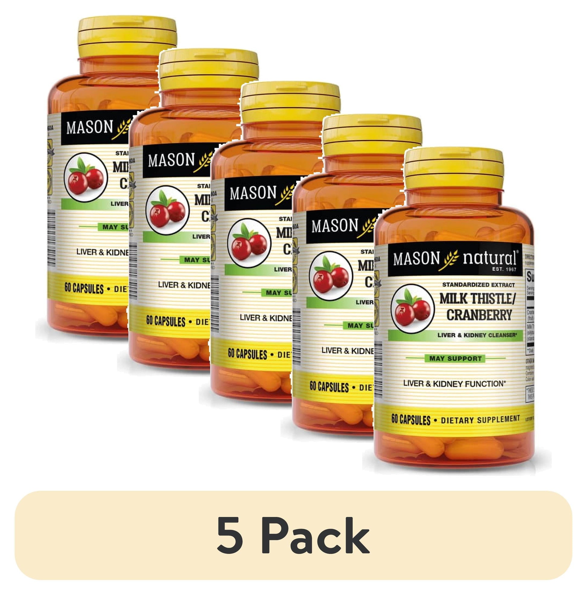 MASON NATURALS LIVER&KIDNEY CLEANSER