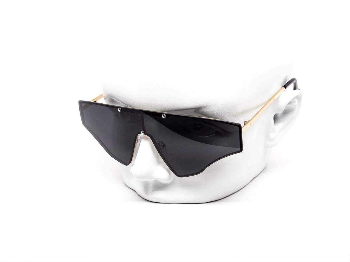 ISHIELD SUNGLASSES OPENROAD SERMX