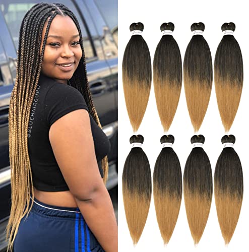 CALYPSO BRAIDING HAIR 1B NATBLK