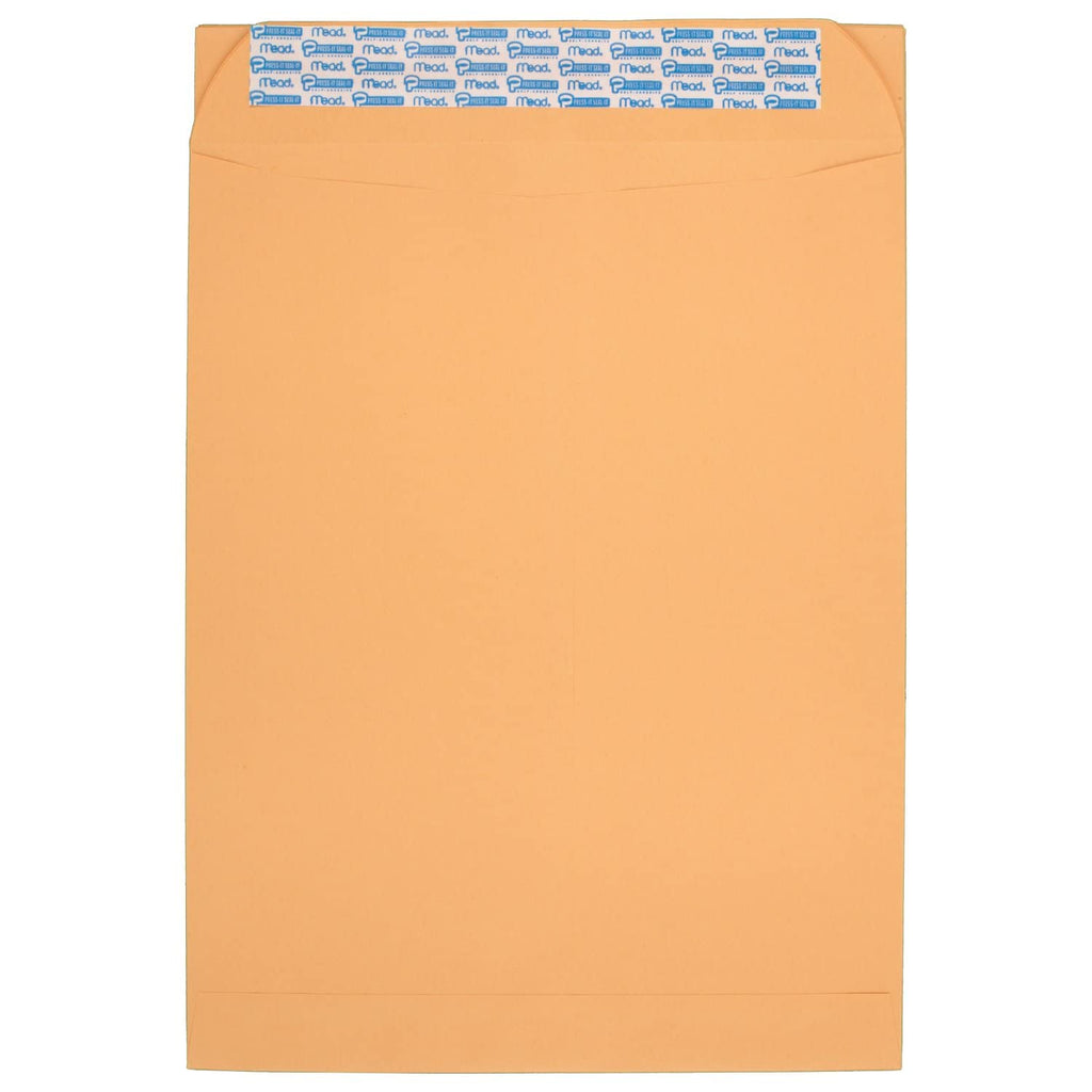 Mead Press-It Seal-It Security Envelopes 4-1/4  x 9-1/8,White - 45 ct