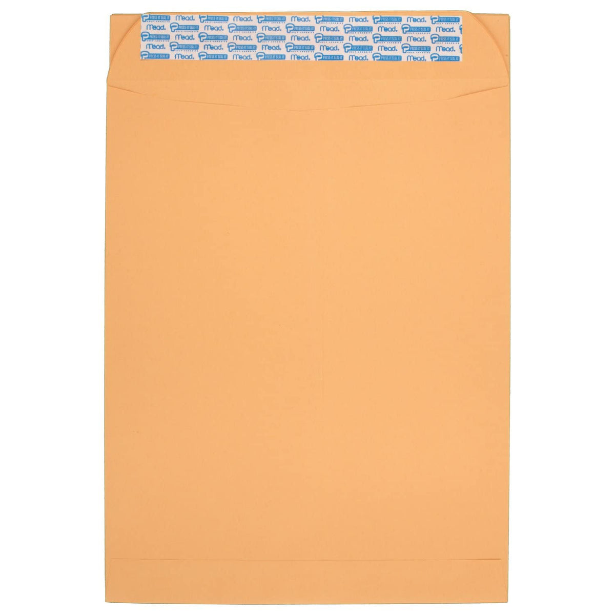 Mead Press-It Seal-It Security Envelopes 4-1/4  x 9-1/8,White - 45 ct
