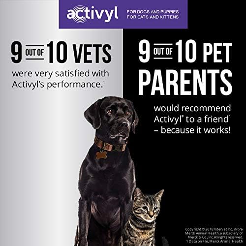 ACTIVYL DOG MED TURQ 3DS 22-44LBS