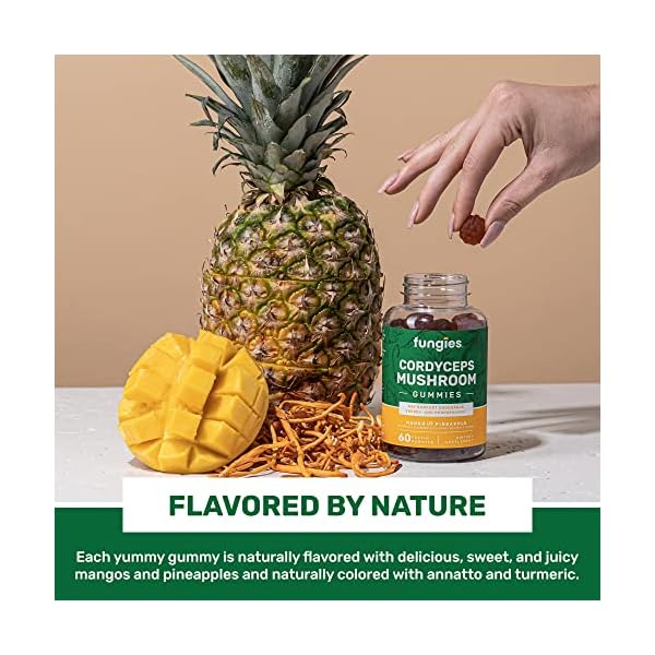 FUNGIES GMY,CORDYCEPS MUSHROOM