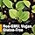 HERB PHARM YARROW