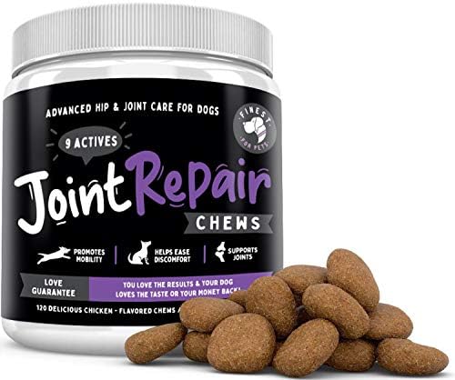 DOG SUPP,EASE,HIP & JOINT