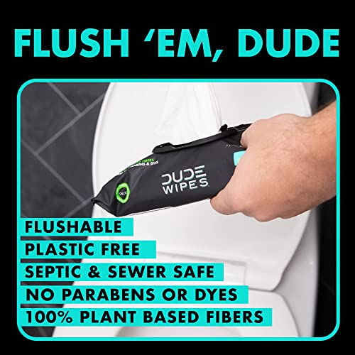 DUDE WIPES WIPES,DSPNSR PK,MINT CHLL
