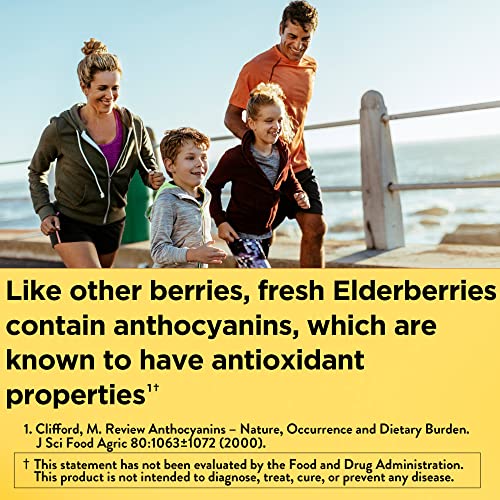 VITAMIN MULTI + ELDERBRY CAP 60CT NAT MD