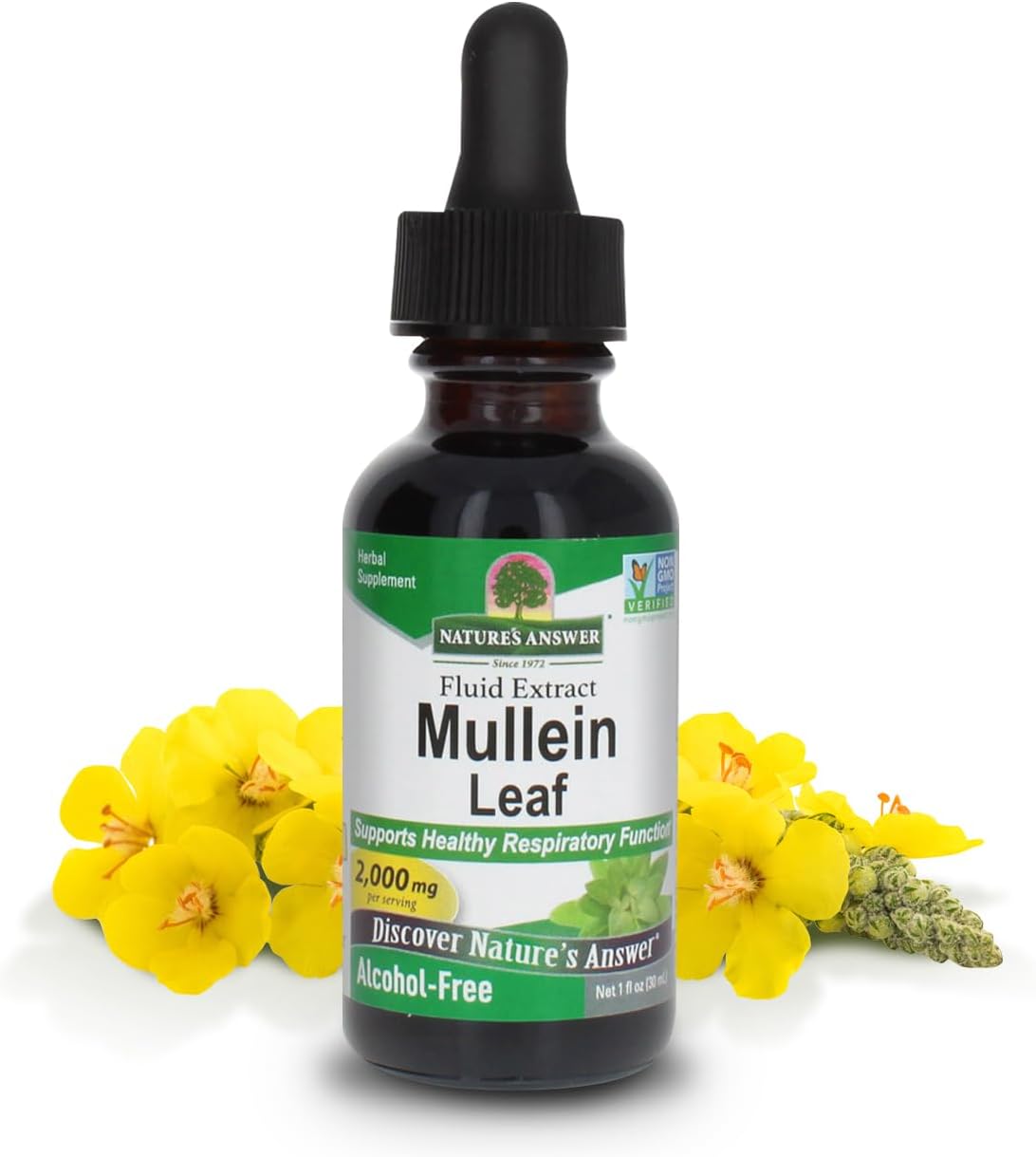NATURE'S ANSWER MULLEIN X,PM NIGHTIME