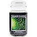 Village Candle Medium Glass Apothecary Jar Candle - Black Bamboo