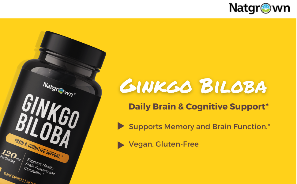 NATROL GINKGO BILOBA 120 MG