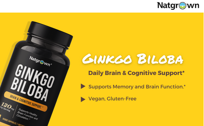 NATROL GINKGO BILOBA 120 MG