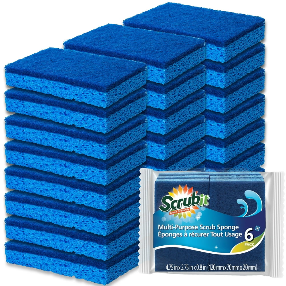 SCRUB SPONGE,PLNT BSD,6PK