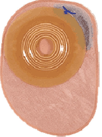 COL13860 ASSURA ECLS 1PC MXPCH 10