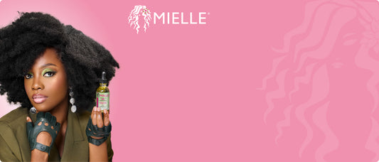 BHM SHELF 1 MIELLE  DL45