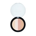 Wet n Wild Megaglo Illuminating Palette C320 Catwalk Pink