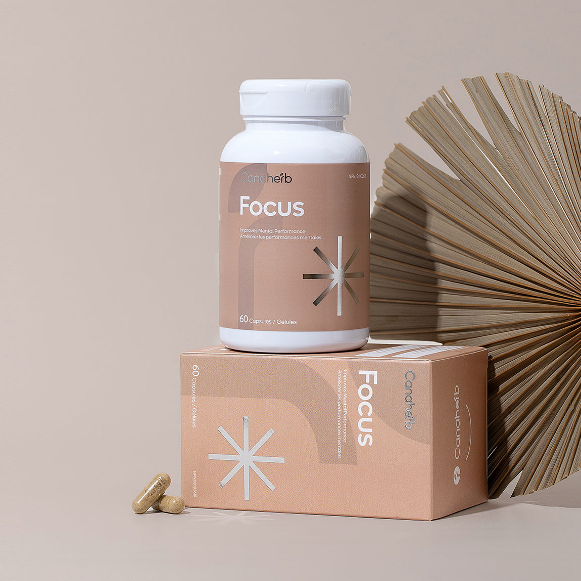 FOCUS FORMULA TB 60