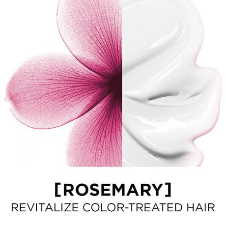 LOREAL EV/PUR SCLP/CR+DTX SC 8OZ