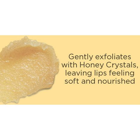 BURTS BEES LIP SCRUB CONDITIONING
