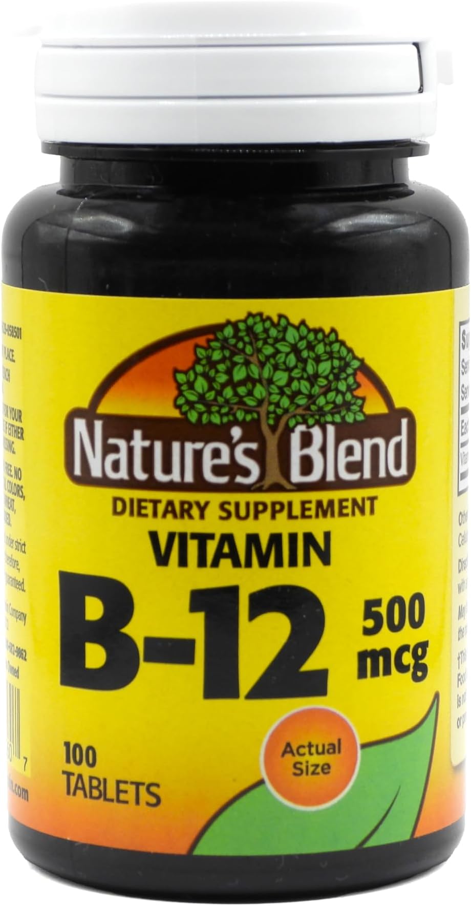 VIT C 500MG CAP SUSTAIN 100CT NAT BLEND
